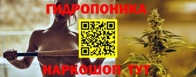 твердый Кингисепп