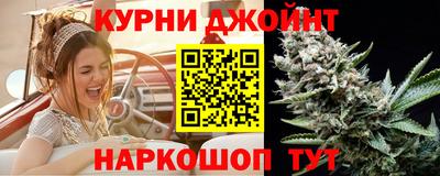 твердый Кингисепп