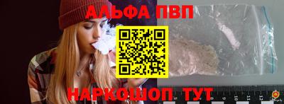 твердый Кингисепп