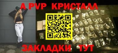 твердый Кингисепп